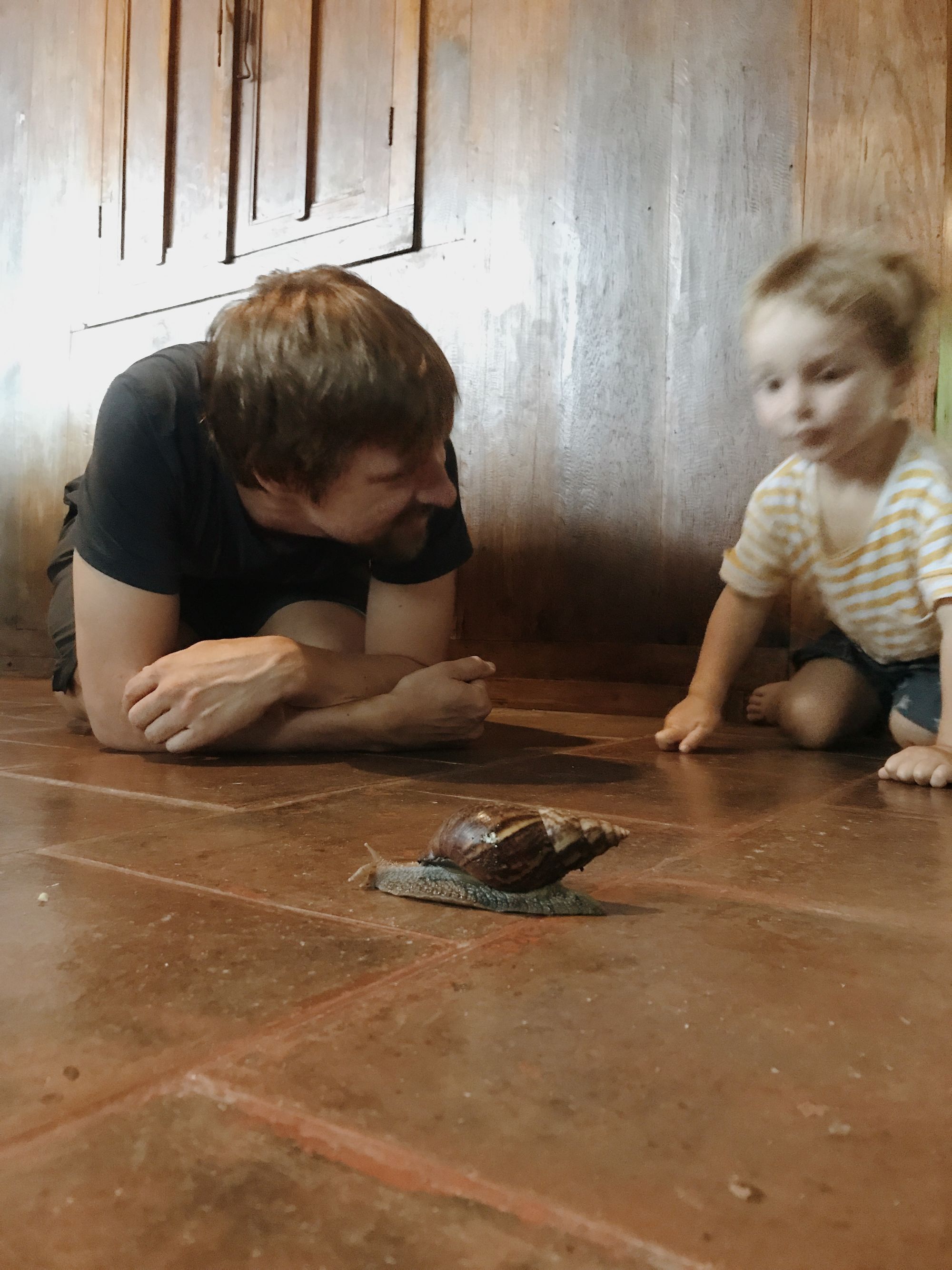 Quiet Munduk and hectic Canggu