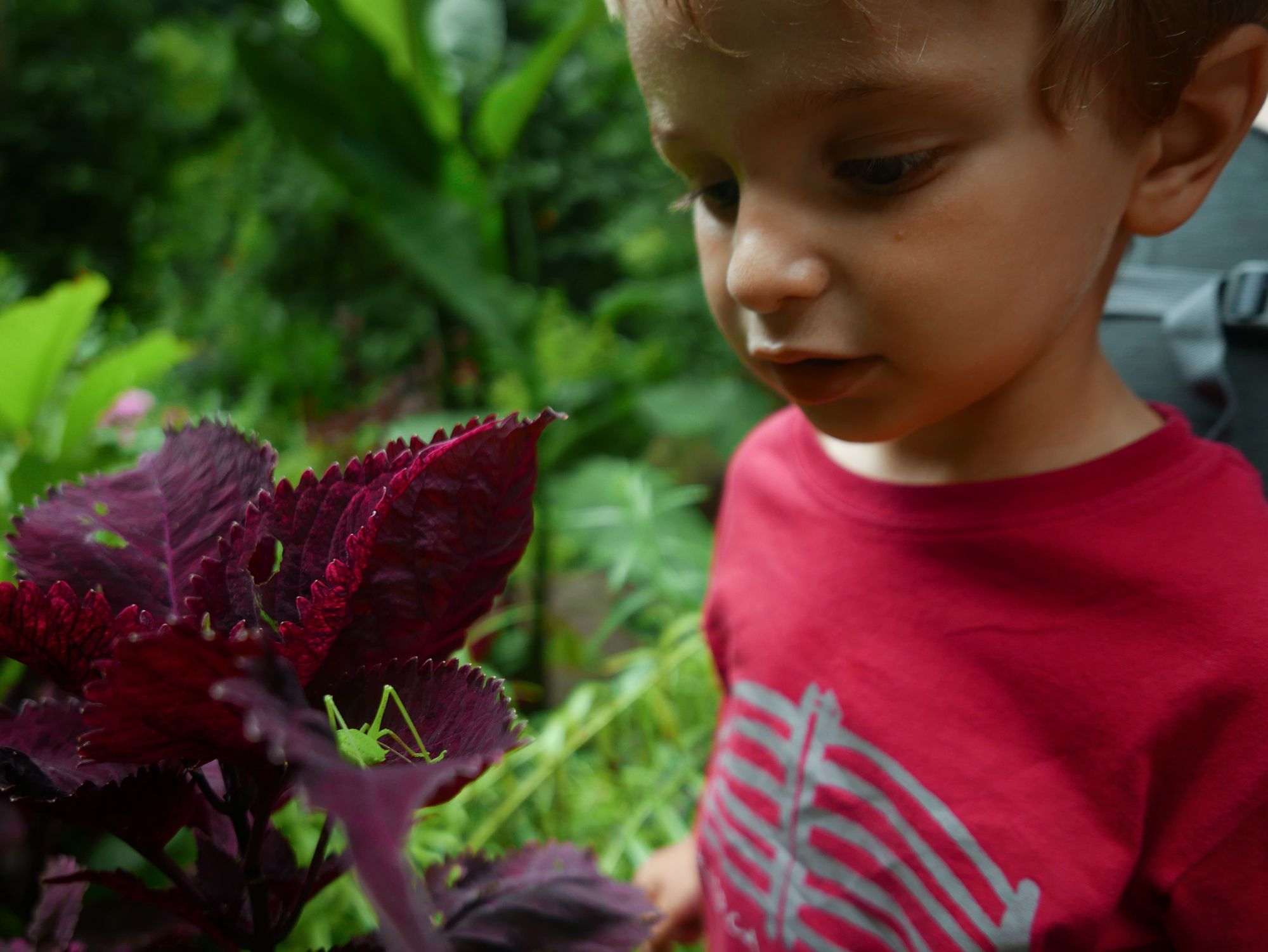 Quiet Munduk and hectic Canggu