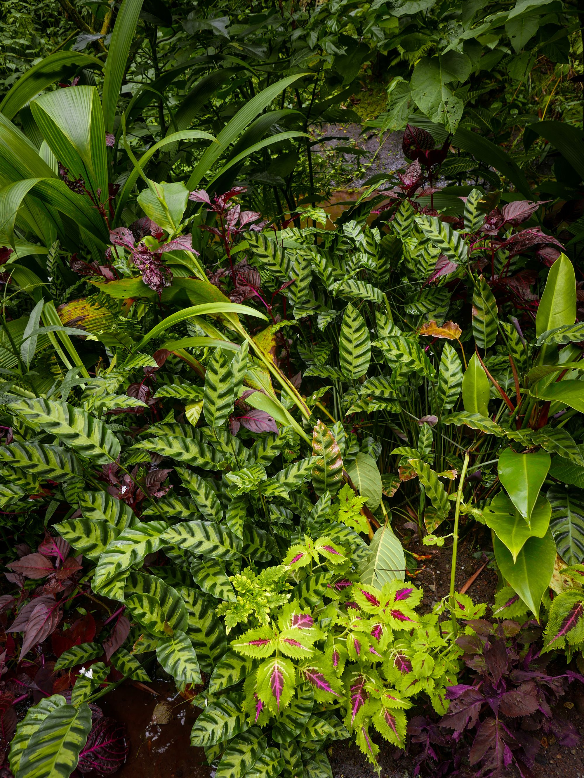 Quiet Munduk and hectic Canggu