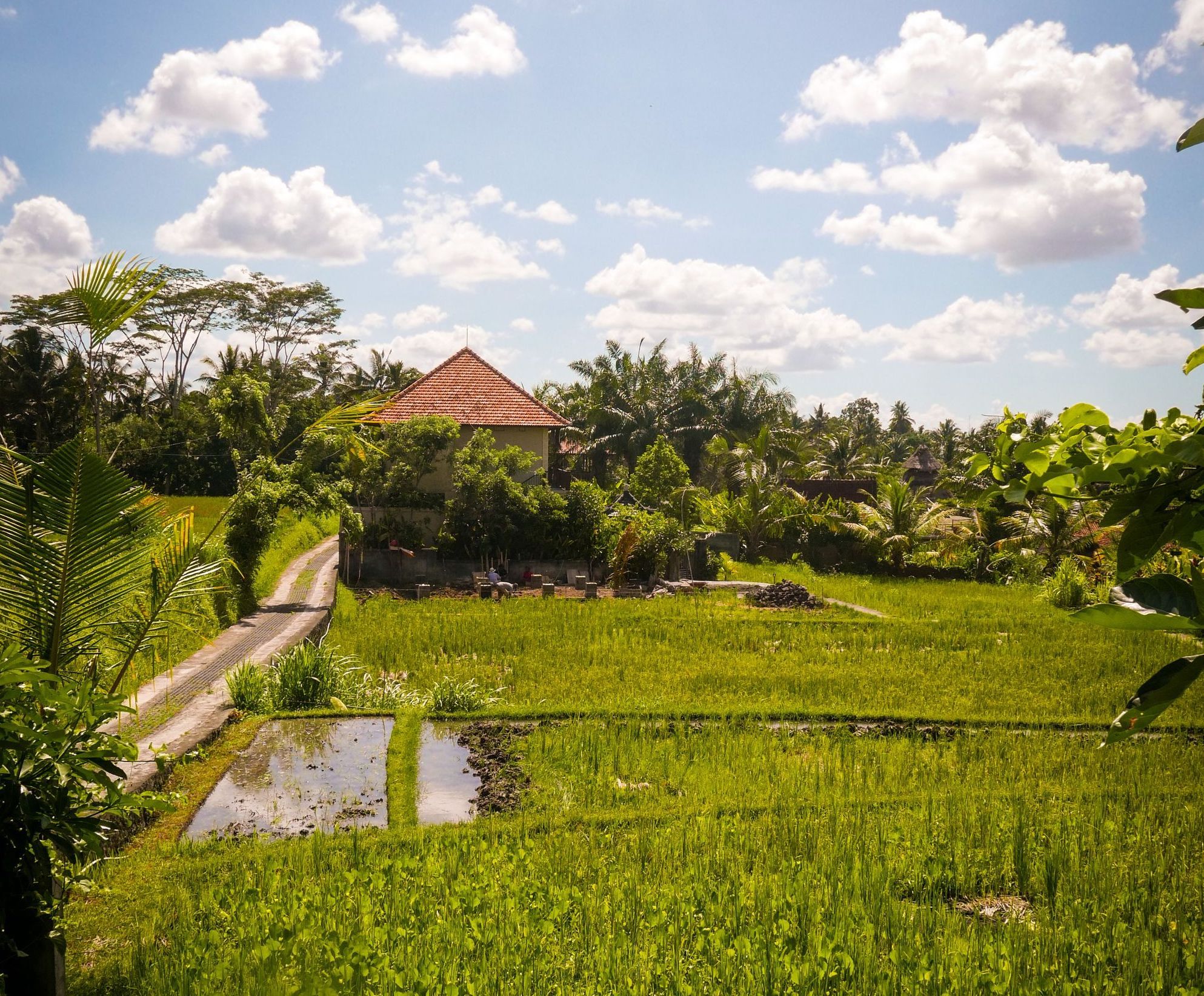 Bali and what to do in Ubud with a toddler