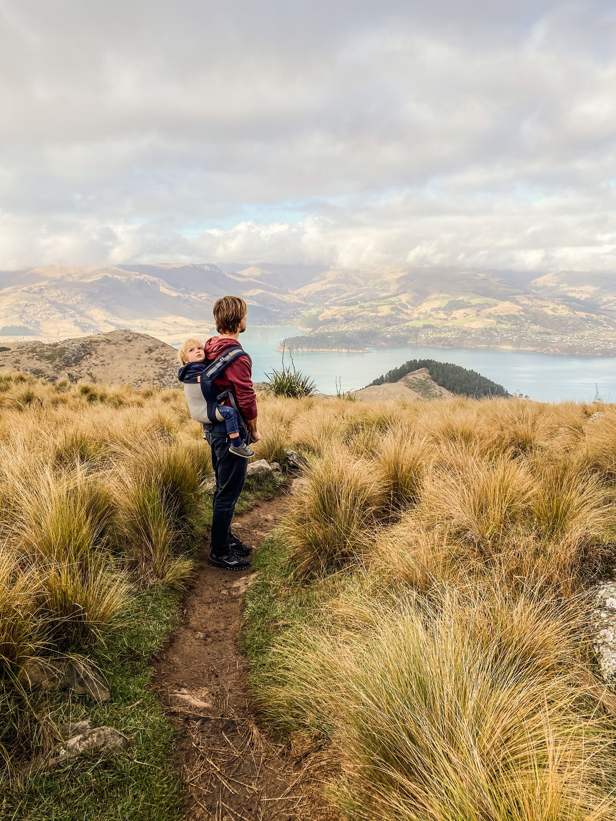 Lockdown, slowdown, go again