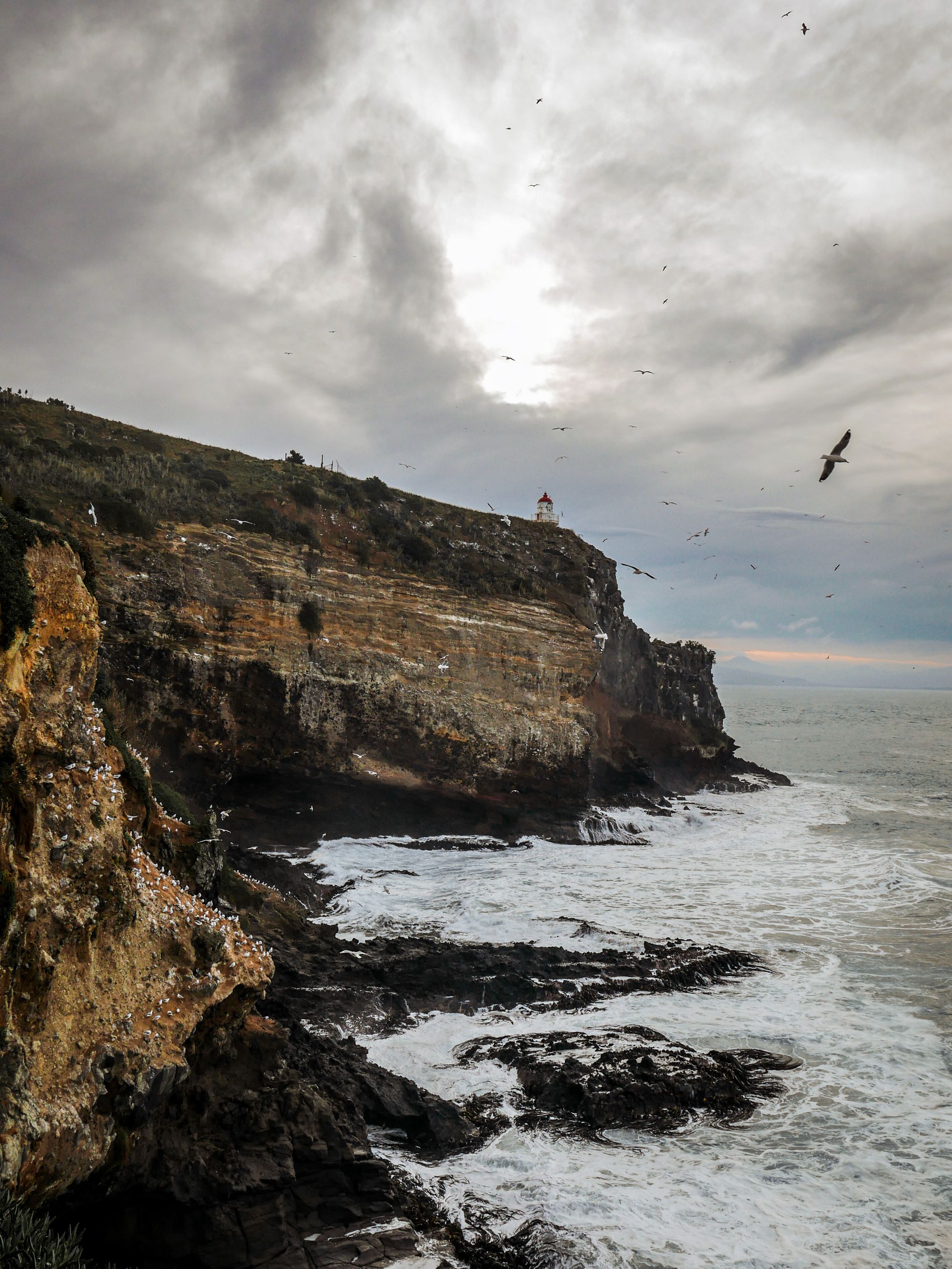 Rolling south from Christchurch to Otago Peninsula: spotting wildlife and sleeping by the beach